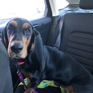 Meet your Posher, Kelli